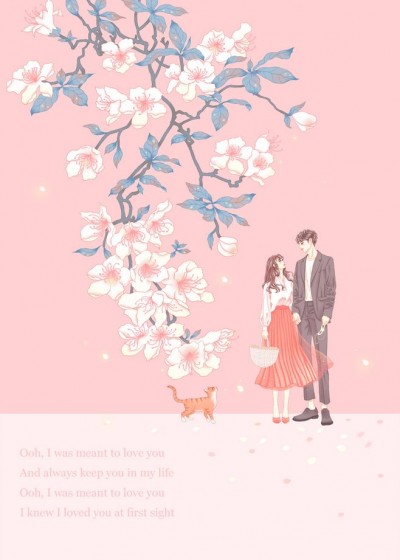 ����������Ը���ľ����Ϻ�ܲ